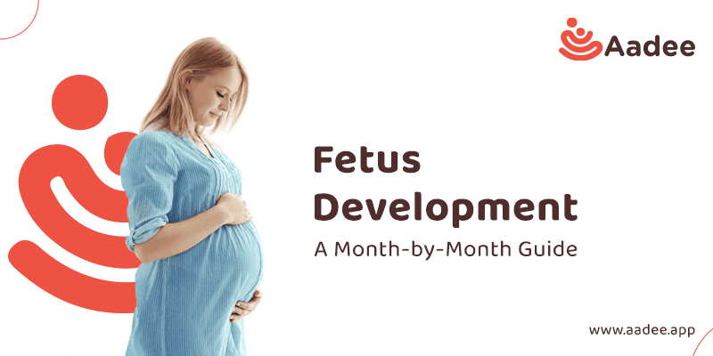 Fetus Development: A Month-by-Month Guide